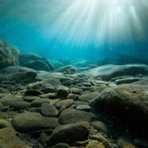 rocks on sea bed